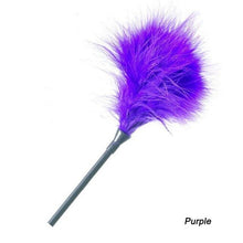Load image into Gallery viewer, Flirting Colorful Feather+ Plastic Sticks Whip
