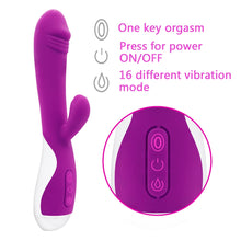 Load image into Gallery viewer, Bigbanana 16 Vibration Modes rabbit vibrator